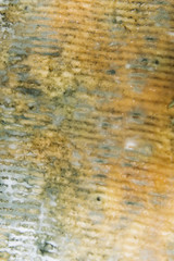 Texture of Bleu d'Auvergne cheese