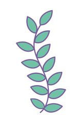 Isolated leaves design vector illustration