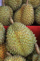 Durian sell at local farm market, King of fruits.