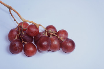 fresh purple grapes put down on white