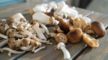 exotic mushrooms in sun light