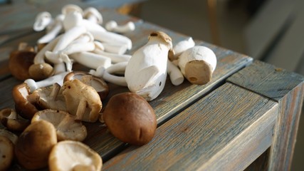 clos eup view on exotic fresh mushrooms 