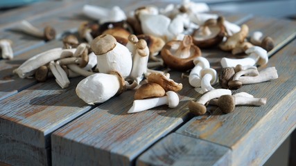 exotic mushrooms on wooden table