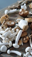 Fototapeta na wymiar group of brown mushrooms
