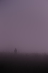 The silhouette of a man in the night fog lit by moonlight