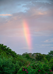 Rainbow in the sky at evening