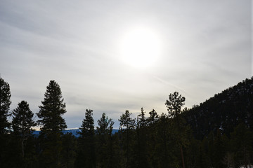 Colorado Winter Sunb
