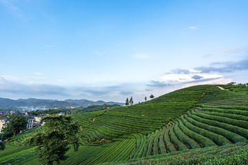 small village with farm