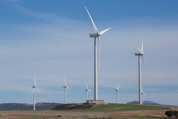 Windmills producing sustainable electricity