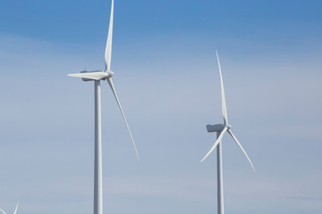 Windmills producing sustainable electricity
