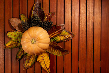 Courge de saison automnale