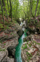 Canyon of the Mostnice river in Voje valley, Slovenia / Korita Mostnice in dolina Voje, Bohinj, Slovenia © oleksandr.info