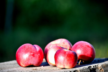 Forgotten ripe apples in the garden on an old board