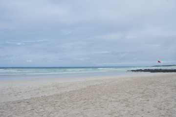 Tortuga Bay 
