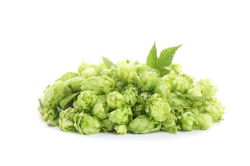 Heap of green hop isolated on white background