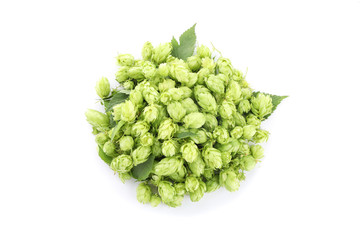 Heap of green hop isolated on white background