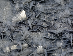 Gelée du matin dans la nord de la Laponie