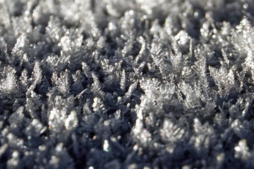 Gelée du matin dans la nord de la Laponie