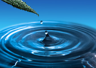 Naklejka na ściany i meble A falling drop of water from a green leaf. Water splash.