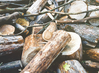 Pile of sawn wooden logs and branches