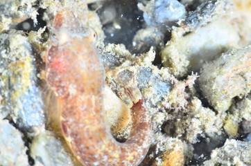  acuático piscina azul mar con textura natación verano claro oceáno abstracta recubrir turquesa dechado mecer olas aseado liquida diáfano mojado mecer olas acuático naturaleza alumbrado