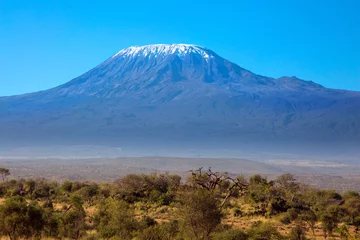 Cercles muraux Kilimandjaro Le parc le plus visité du Kenya