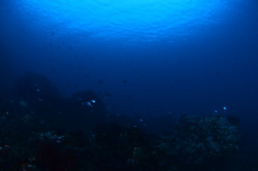  acuático piscina azul mar con textura natación verano claro oceáno abstracta recubrir turquesa dechado mecer olas aseado liquida diáfano mojado mecer olas acuático naturaleza alumbrado