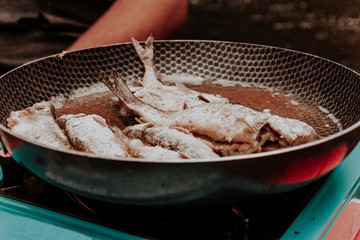 Tourists fry fish on a gas stove
