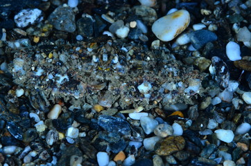  acuático piscina azul mar con textura natación verano claro oceáno abstracta recubrir turquesa dechado mecer olas aseado liquida diáfano mojado mecer olas acuático naturaleza alumbrado