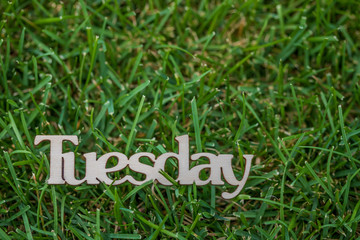 The word Tuesday against green grass