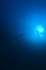 Obraz na płótnie Canvas acuático piscina azul mar con textura natación verano claro oceáno abstracta recubrir turquesa dechado mecer olas aseado liquida diáfano mojado mecer olas acuático naturaleza alumbrado