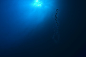  acuático piscina azul mar con textura natación verano claro oceáno abstracta recubrir turquesa...