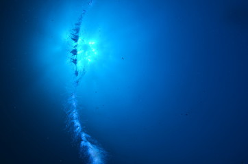 Fototapeta premium acuático piscina azul mar con textura natación verano claro oceáno abstracta recubrir turquesa dechado mecer olas aseado liquida diáfano mojado mecer olas acuático naturaleza alumbrado