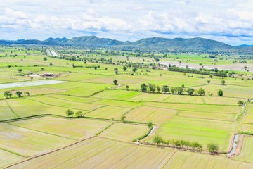 Fototapeta na wymiar Beautiful Scenery of Rice Paddy Fields in Kanchanaburi Province