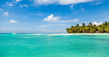 Beautiful tropical beach with white sand, coconut trees and turquoise sea water of the Caribbean on an island in the Dominican Republic. Paradise island for travel and recreation. Panorama copy space