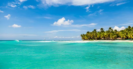 Foto op Canvas Prachtig tropisch strand met wit zand, kokospalmen en turquoise zeewater van het Caribisch gebied op een eiland in de Dominicaanse Republiek. Paradijselijk eiland voor reizen en recreatie. Panorama kopie ruimte © tgordievskaya