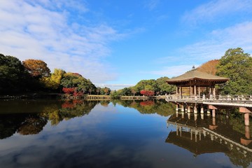 Fototapeta na wymiar 奈良公園の紅葉
