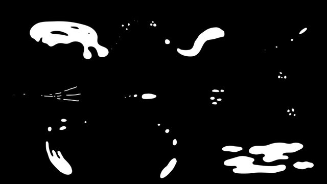 Splash Animated Elements