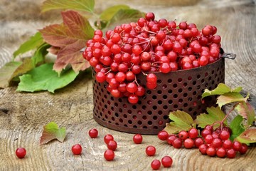 Viburnum berries in a bowl on a wooden background closeup