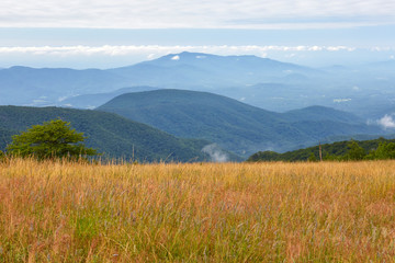 View of the Blue Ridge mountains from the Appalachian Trail near the summit of Cole Mountain in Amherst County, Virginia