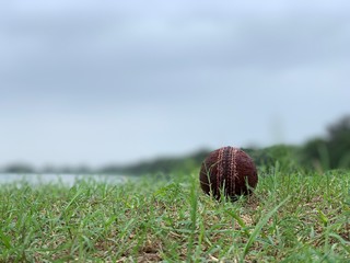 Cricket ball on the field 