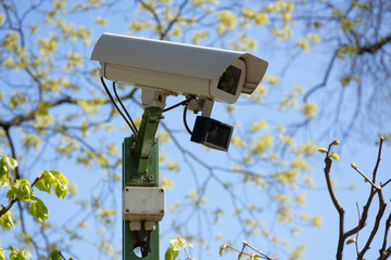 Surveillance camera in the garden