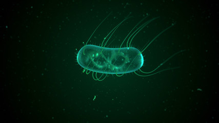 E. Coli bacteria 3d illustration