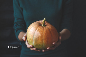 Women's hands in sweater are holding pumpkin with Organic text. Autumn calendar. Close up