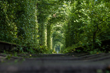 tunnel of love. unexpected, unusual view