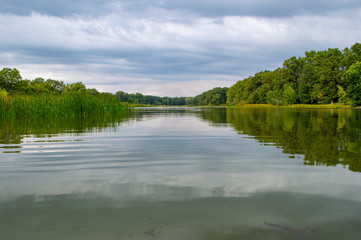 Fototapeta premium Beautiful landscape of lake, reeds, oak forest
