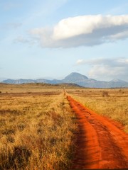 Savannenlandschaft in Tsavo Ost Kenia