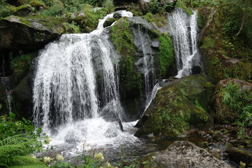 Wandern am Triberger Wasserfall im Schwarzwald