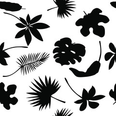 seamless pattern of black silhouettes of various exotic tropical leaves on a white background in tropical style