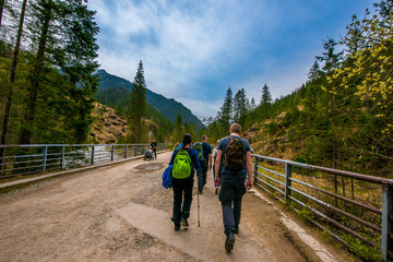 Zakopane, Poland - Apr 13 2018. Purple crocus flowers blooming in Chocholowska valley during spring season, Tatra Mountains, Poland © Zedspider